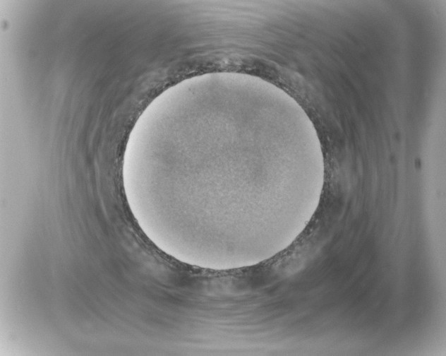 X0000085250769200704092048