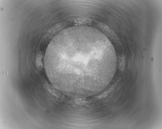 X0000085250770200704092048