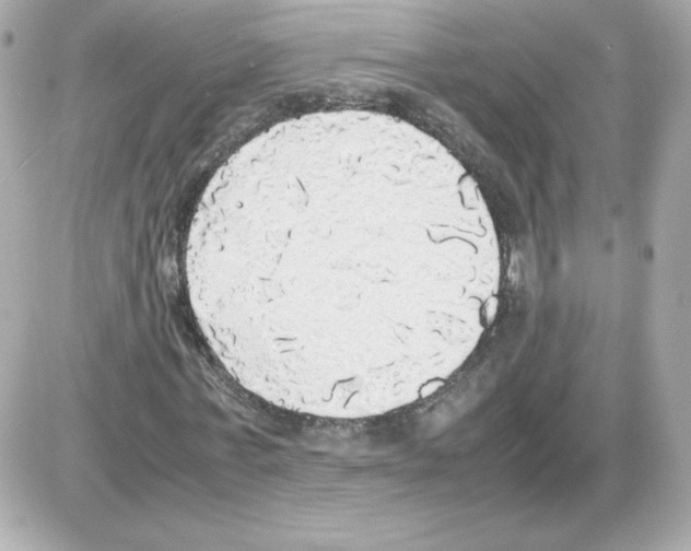 X0000085250771200704092048