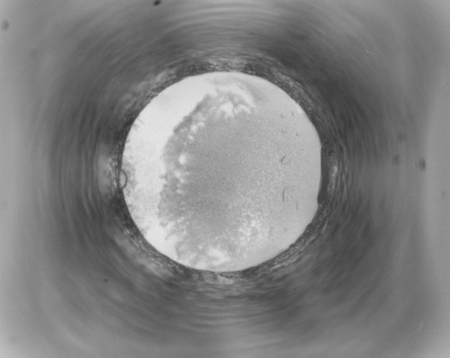 X0000085250772200704092048