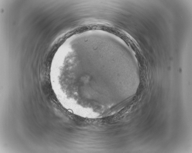 X0000085250775200704092048