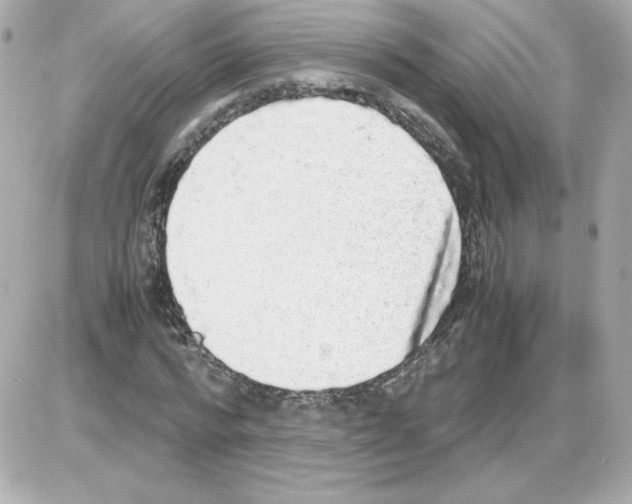 X0000085250776200704092048