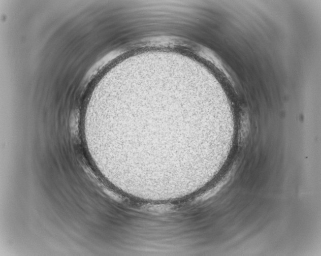 X0000085250778200704092048