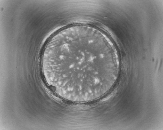 X0000085250779200704092048