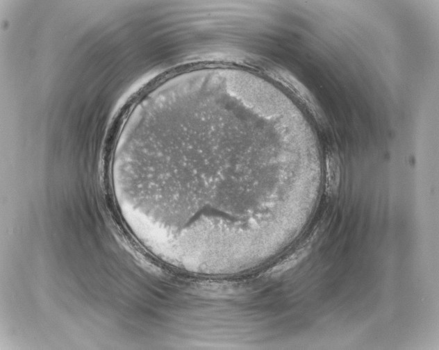 X0000085250780200704092048