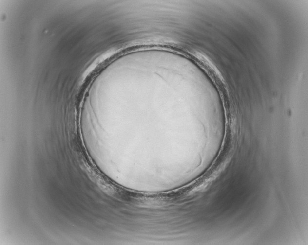 X0000085250781200704092048