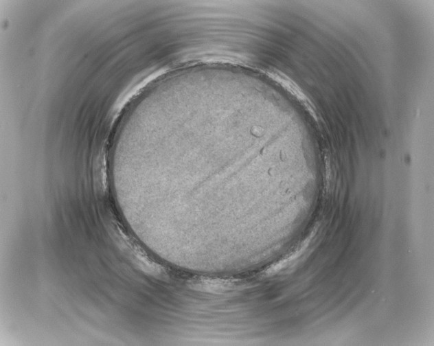 X0000085250782200704092048