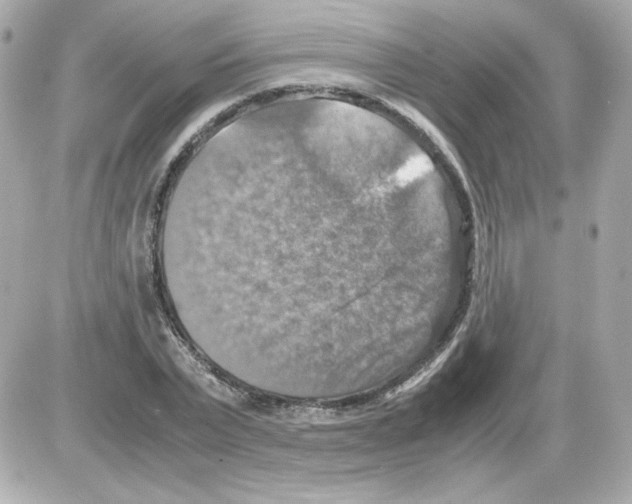 X0000085250783200704092048