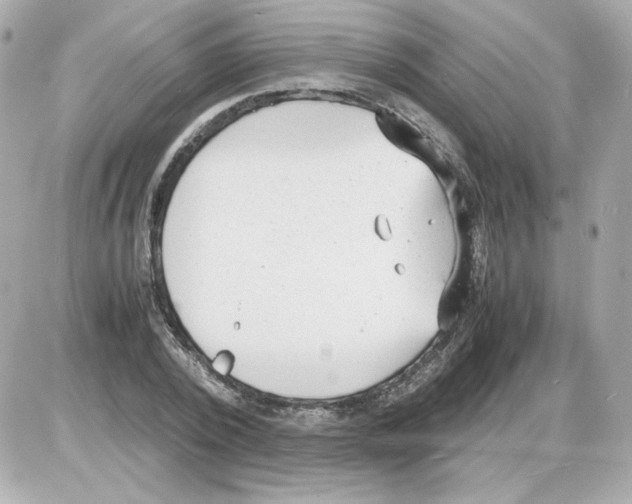 X0000085250784200704092048