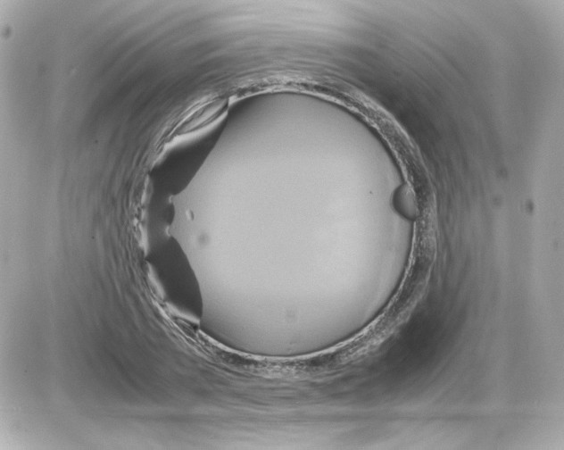 X0000085250785200704092048