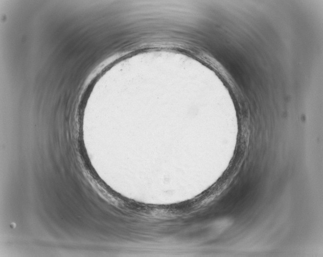 X0000085250787200704092048