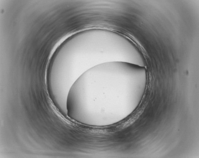 X0000085250788200704092048