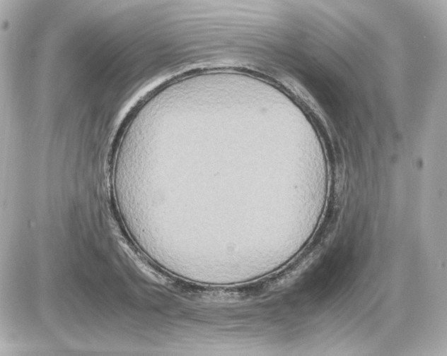 X0000085250789200704092047