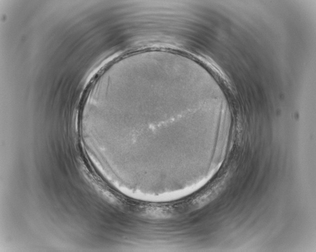 X0000085250790200704092047