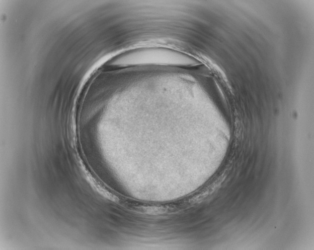 X0000085250792200704092047