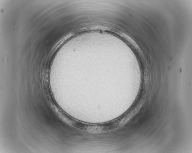 X0000085250793200704092047