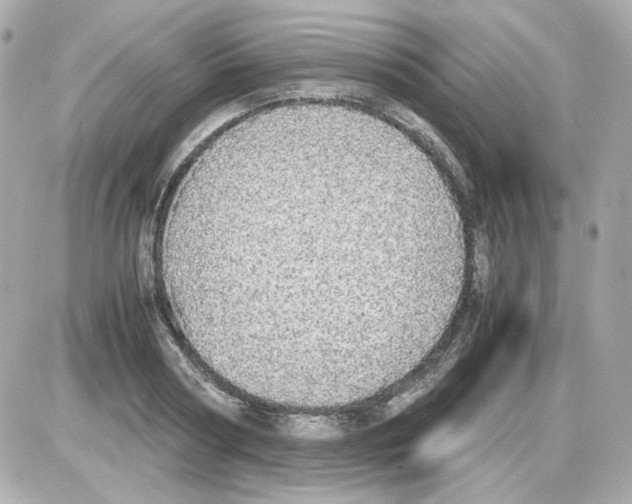 X0000085250794200704092047