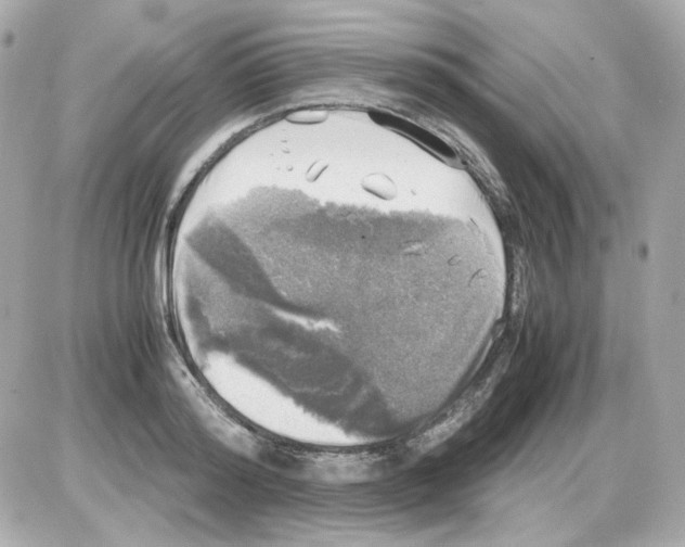 X0000085250796200704092047