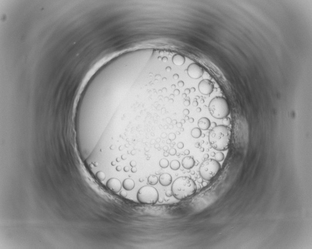 X0000085250800200704092047