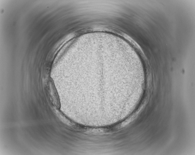 X0000085250801200704092047