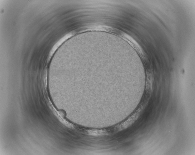 X0000085250804200704092047