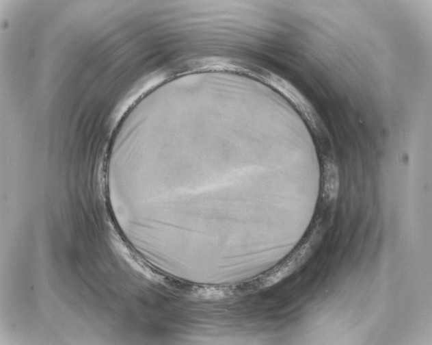 X0000085250806200704092047