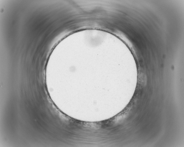 X0000085250807200704092047