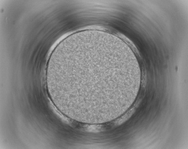 X0000085250808200704092047