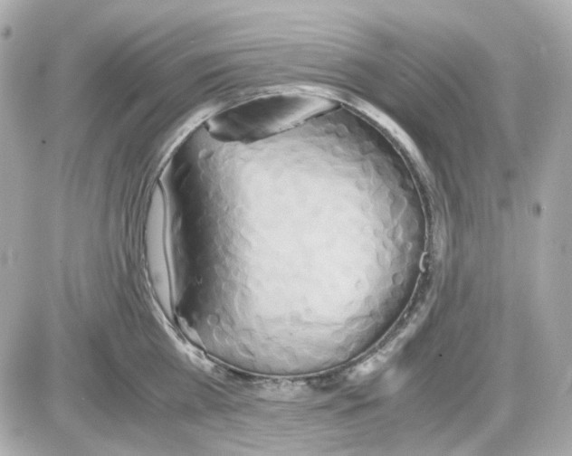 X0000085250809200704092047