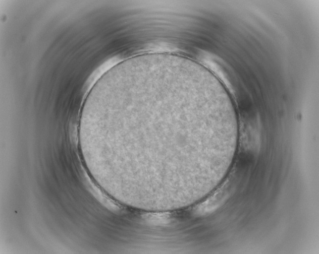 X0000085250810200704092047