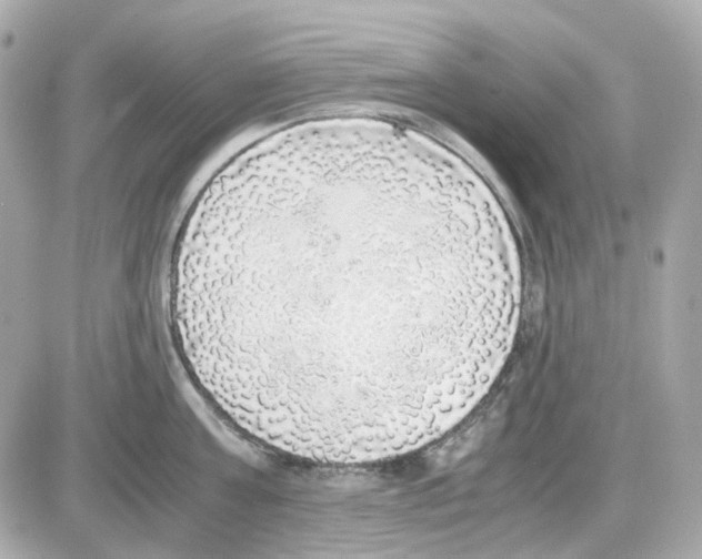 X0000085250811200704092047