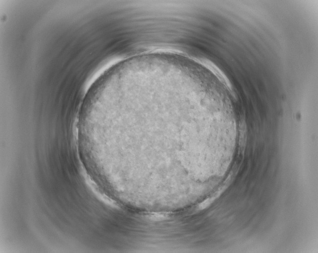 X0000085250814200704092047