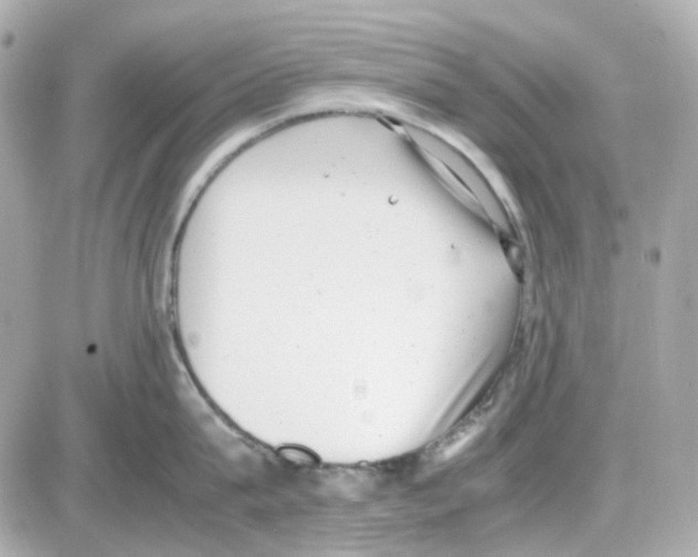 X0000085250815200704092047