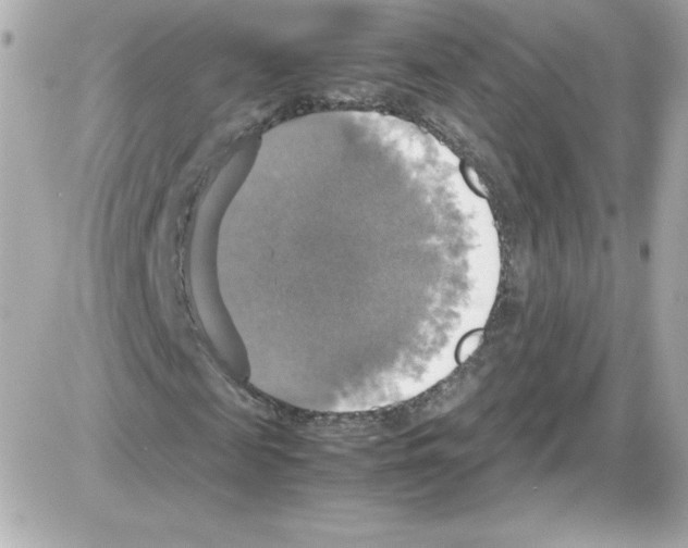 X0000085250817200704092046