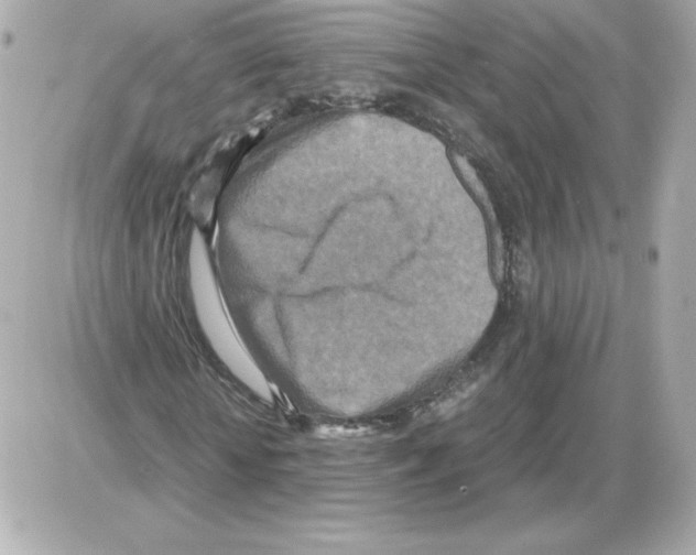 X0000085250818200704092046