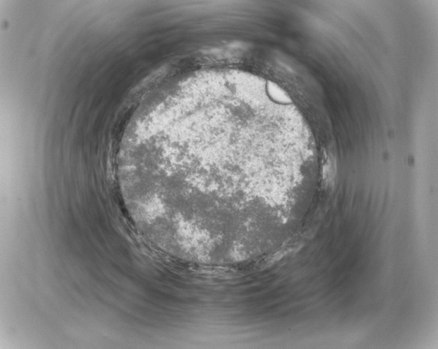 X0000085250819200704092046