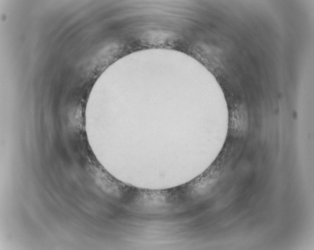 X0000085250820200704092046