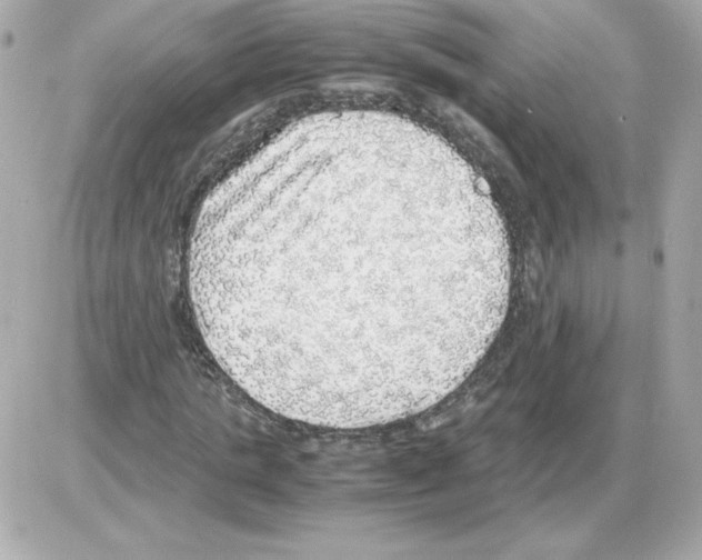 X0000085250821200704092046