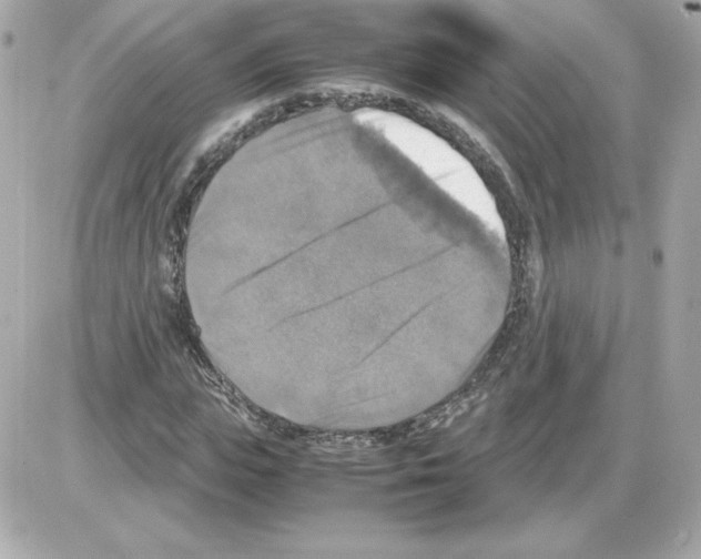 X0000085250823200704092046