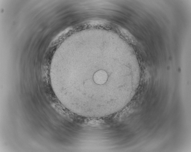 X0000085250824200704092046