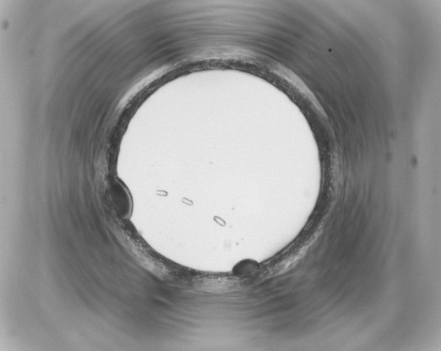 X0000085250826200704092046