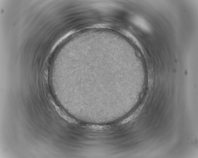 X0000085250827200704092046