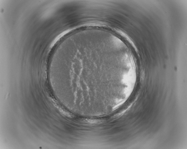 X0000085250829200704092046