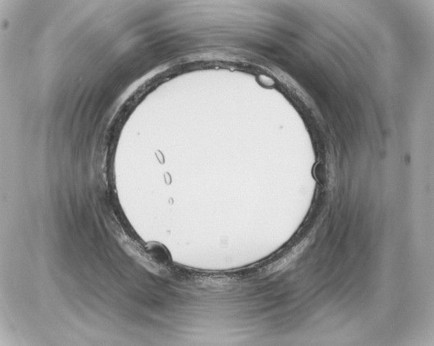 X0000085250830200704092046