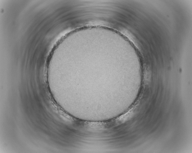 X0000085250832200704092047