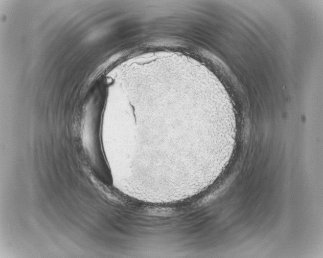 X0000085250833200704092047