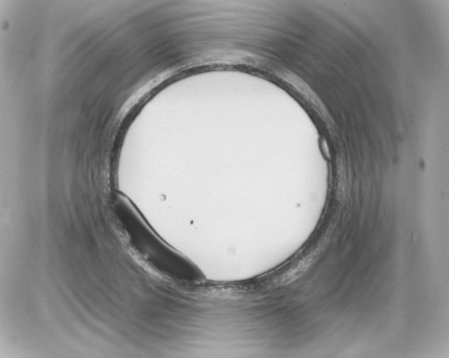 X0000085250834200704092047