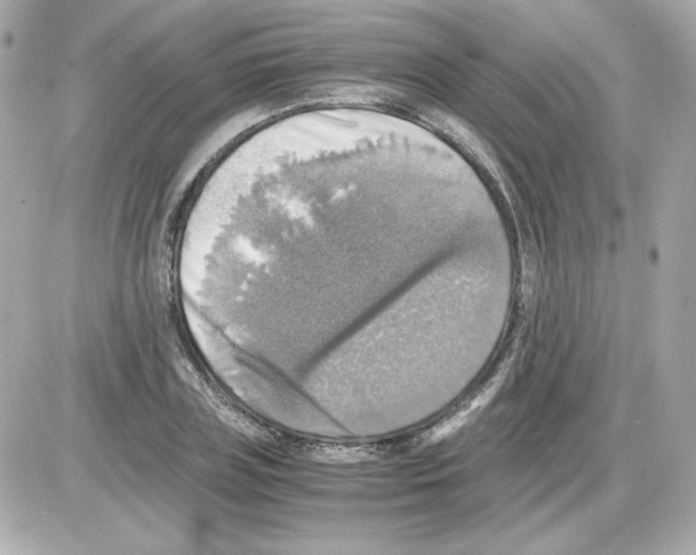 X0000085250835200704092047