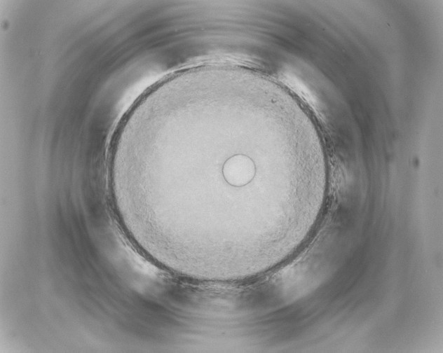 X0000085250836200704092047