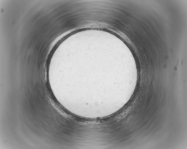 X0000085250838200704092047